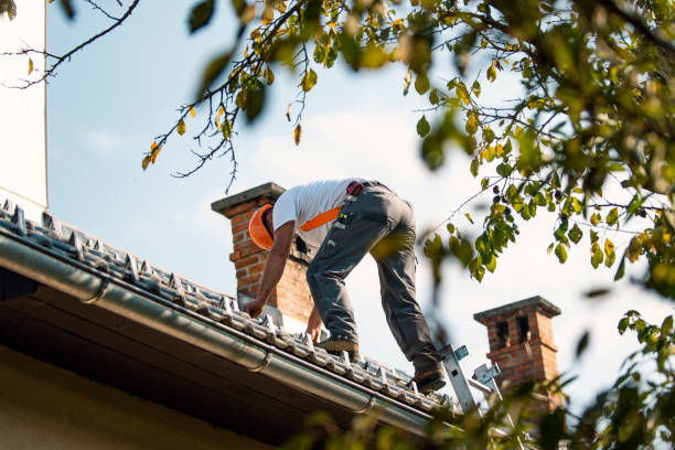 Best Roof Replacement Cost  in Griggsvle, IL
