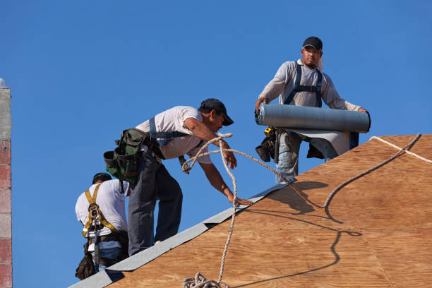 Best Roof Waterproofing Services  in Griggsvle, IL