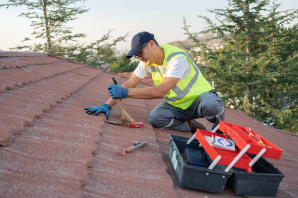 Best Sealant for Roof  in Griggsvle, IL