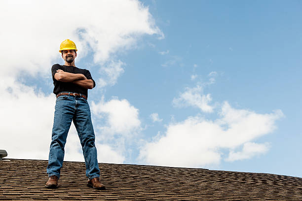 Roof Gutter Cleaning in Griggsville, IL