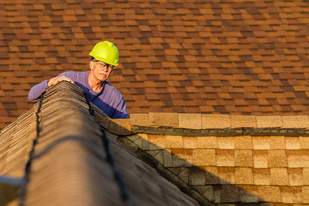 Best Roof Gutter Cleaning  in Griggsvle, IL