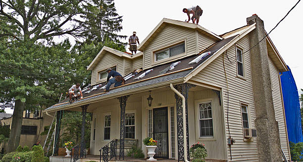 Best New Roof Installation  in Griggsvle, IL