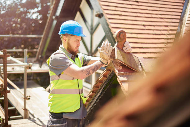 Best Roof Gutter Cleaning  in Griggsvle, IL