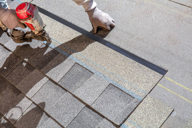 Best Roof Repair Services  in Griggsvle, IL